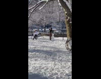 Guy rolls large snowball while woman poses with snowman 