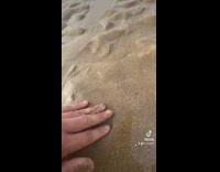 Person dig wet sand get own feet