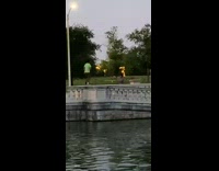 Man green shirt bridge edge dance river