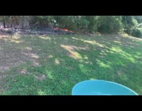 Man pour bowl of water on grass fire