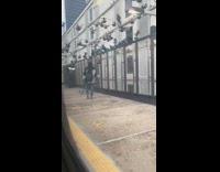 Pigeons flock towards guy getting off train 