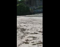 Girl black bikini beach stairs selfie duck