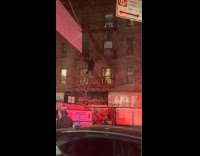 Man climbs on tree complains about life