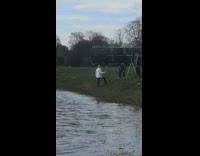 Old bald man white polo glass pond