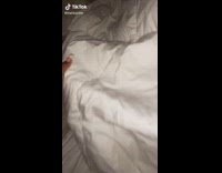 Collab BitchMP - Girl pulls blanket away friend hands up hotel