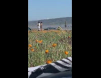 Guy girl tiktok dance orange poppy flowers 