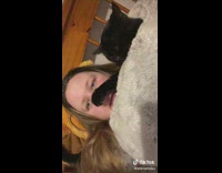 Cat Have Lady as Hostage on Bed