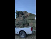 Two guys throw hay barrel onto white truck