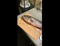 Dead fish on cutting board moves eyes 