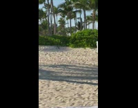 Woman on palm tree next to beach wedding