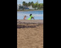 Woman green transparent robe sit pose beach
