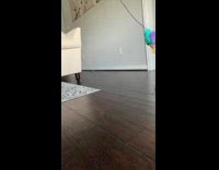 Tiny kitten tries to catch toy 