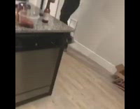 Guy uses taser on his own neck 