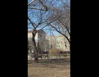 Man on red harness practices acrobatics