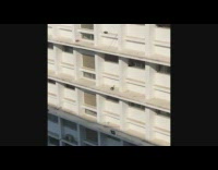 Kitten cat stuck on tall building ledge
