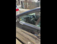 Rat trap inside the black car park at street NYC 