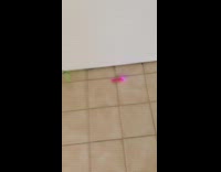 Pink vibrator little boy laundry trashcan