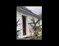 Cat kicks door to open it 