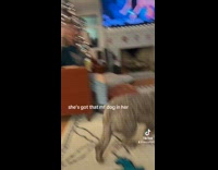 Woman pretends to bark when dog was barking 