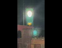 Guy gives blunt to mantis 