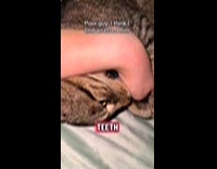 Cat gets embarrassed called out by hooman