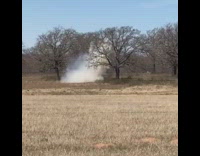 Collab WeirdM - Guy blows up dead cow and laughs 