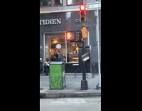 Pedestrian traffic light fell hang from pole