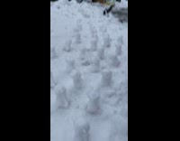 Dinosaurs made out of snow