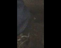 man has bug on foot train