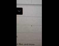 Small bug crawls around inside computer screen