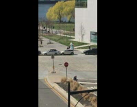 Blue unicorn costume pushes baby stroller park 