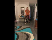 Pet dog excited to play with the newborn baby