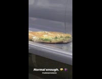 Two sub sandwiches on subway seats