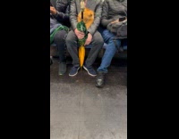 Man in train with realistic fox purse