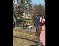 Dog humping owners extended leg at the park bench