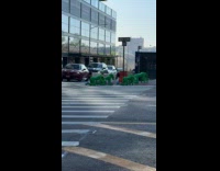 Four women green suit sidewalk video shoot