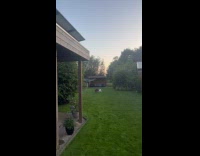 Man race dog trips and falls 