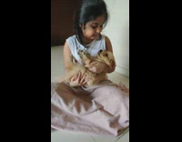 Girl cradles golden retriever puppy like baby