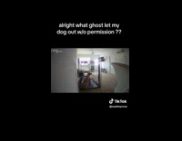 Dog crate opens on its own 