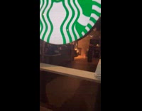 Mice crawl on floor inside starbucks store