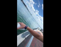 Guy pour tea from cup into the harbor