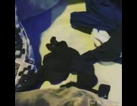 Grey cat wont let guy fold laundry 