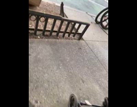 Mouse crawls near filmer 