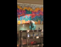 Cat struggles to squeeze inside vase