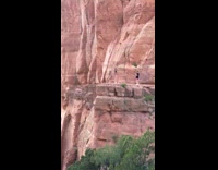 Woman red tank top flex butt cliff photo shoot