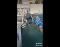 Girl jumps in frozen pool and falls