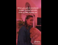 Emotional support dog develops gets anxiety girl