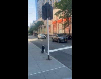 Airplane contrail left text on the sky