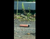 Sex toy found on side of road