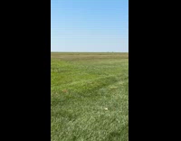 Man play golf hit grass angry gesture